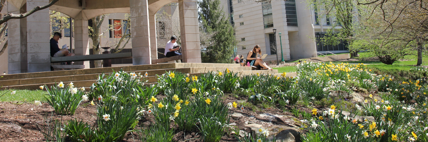 Banner of various students sitting in the arboretum reading